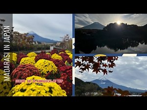 Oishi Park | Momiji Tunnel | Oshino Hakkai — Day 2 of the Kawaguchiko Trip| Vlog #38 大石公園・もみじ回廊・忍野八海