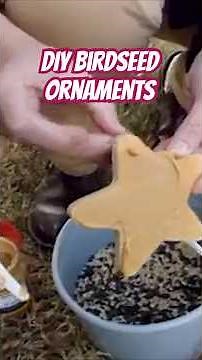 DIY Birdseed Ornaments – Make Nature Happy This Winter! 🌲❤️ #naturecrafts #ecofriendly