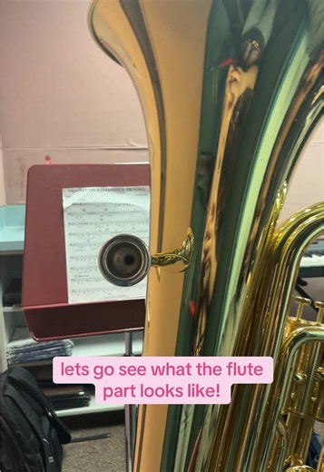 High School Band Performance with Flute and Tuba