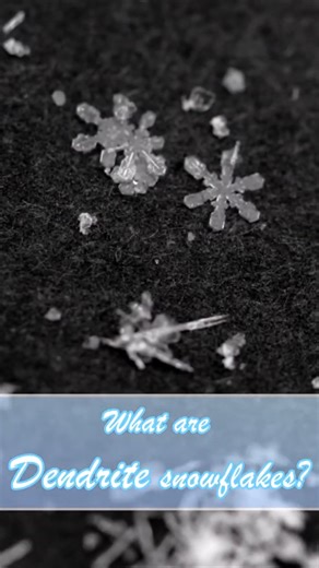 These Snowflake Branches Are Unreal #nature #macro #snowflakes