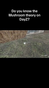 1.3M views · 6.8K reactions | Do you know the DayZ Mushroom theory #DayZ #dayzcommunity #dayzstandalone #dayzpc #gaming #gameplay #pc #ps5 | YBMedia | Facebook