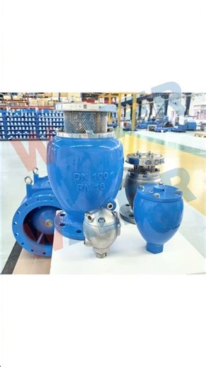 🔥 Walter AV4F3F/AV3F2F Combined Air Vacuum Release Valve: 3-in-1 Protection + Customization! 🔥
