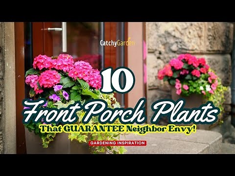 10 Front Porch Plants That GUARANTEE Neighbor Envy! 🌹🏠🌷 // Gardening Ideas