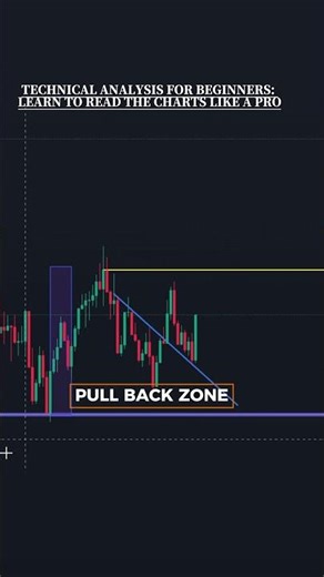 Technical analysis for beginners: learn to read the charts like a pro