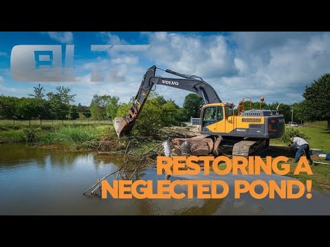 This Pond Was Left to Die… We Brought It Back to Life!