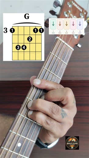 Easy Barre Chords Shifting &Strumming Lesson For Beginners|F#minor,G,A Guitar Tutorial For Beginners