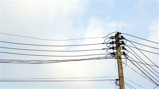 Residents of California town baffled by mysterious, exploding birds