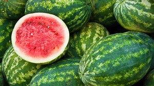 Where did watermelons come from?