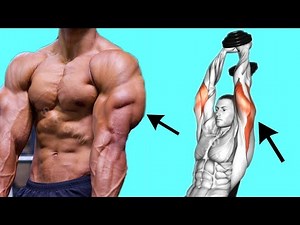 The Best Tricep Exercises and Workouts for Building Bigger Arms