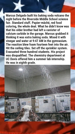8TH GRADER'S SCIENCE FAIR VOLCANO ERUPTS FOR REAL 🌋🏫😂