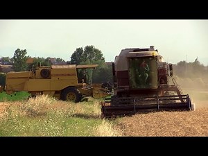 Fiatagri Laverda 3790 & New Holland TX 34 vintage combine harvester | Trebbiatura grano
