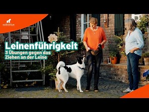 Leinenführigkeit üben | 3 Übungen gegen das Ziehen an der Leine