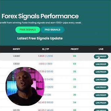 How to Identify Real Forex Signals Provider on Telegram 2022?