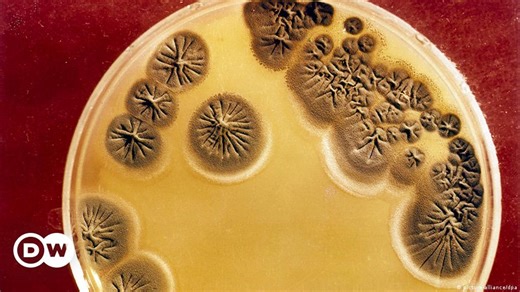 What is antibiotic resistance?