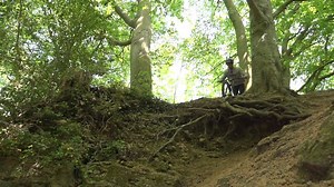 33K views · 199 reactions | Precision and tecnique are the name of...