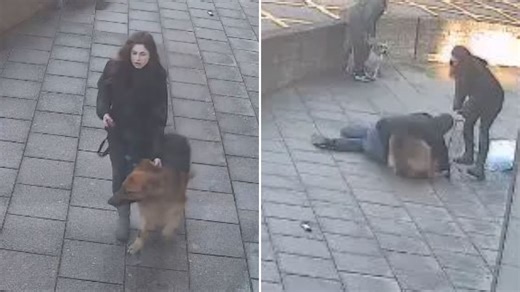 Shocking moment man tackles 'berserk' German shepherd that mauled his wife