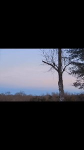 Beautiful evening ♡ | Rebecca Crabtree