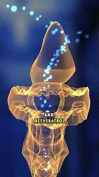 Natural Foods for Everyday Wellness 🌿