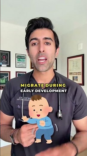 Piebaldism Explained: The Gene Behind the White Hair Streak