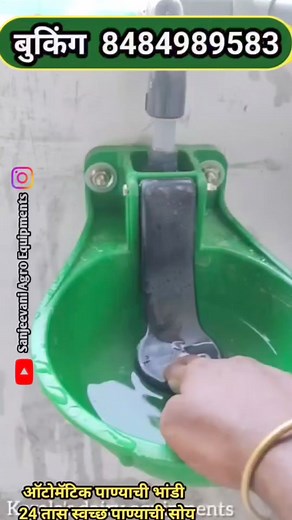 2.3K views · 16 shares | Cow water drinking bowl for dairy farm equipment 8484989583 #milkingcows #dairyfarm #farming #buffalo #गोठा #water #automatic #cow #दूध #bowl | Sanjeevani Milking Machine & Agro Equipments | Facebook