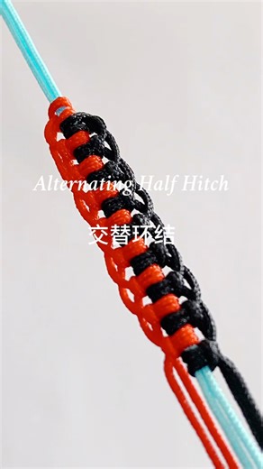 How to Tie a Alternating Half Hitch | 交替环结 Knot Tutorial for Crafts & Macrame #diy #handmade