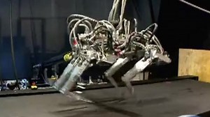 Cheetah robot 'runs faster than Usain Bolt'