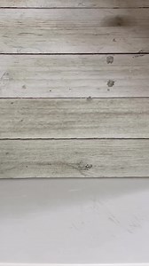 This is why I gave a mango a bath Part 1 | Growithjessie