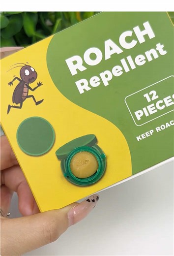 Affordable DIY Solutions for Apartment Pest Control