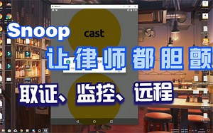 Snoop-就是一个简单的手机摄像头监视软件