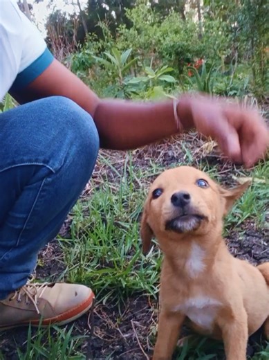 Man's best friend 😎😌