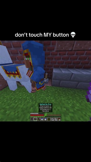 why the trader always roaming around my button 😠😠 #minecraft | minecraft