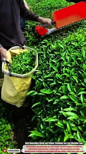 Best Innovative Shrub & Flower Trimming Tea Leaf Machine Tool #innovative #tools