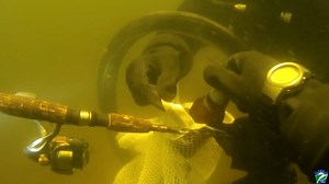 11K views · 58 reactions | Recently, a group of 16 divers and two...