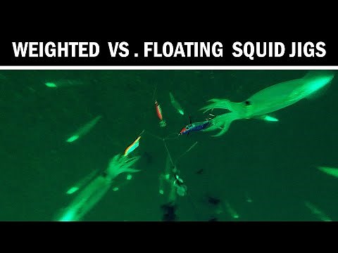 How Squid React To Weighted vs Floating Jigs (Underwater Squid Fishing)