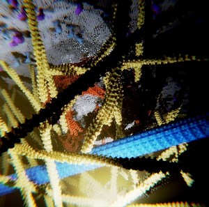 This animation shows the clathrin-mediated endocytosis. Endocytosis is the process in which a cell takes up surrounding material by pinching in parts of the cell membrane and then forming a vesicle. Actin filaments play multiple distinct roles in this process. | Ribosome Studio