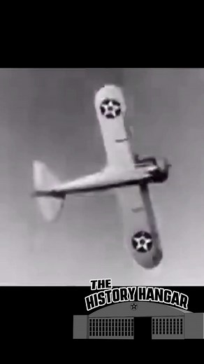 Grumman’s Forgotten Fighter #thehistoryhangar #militaryaircraft #aviationhistory #F3F