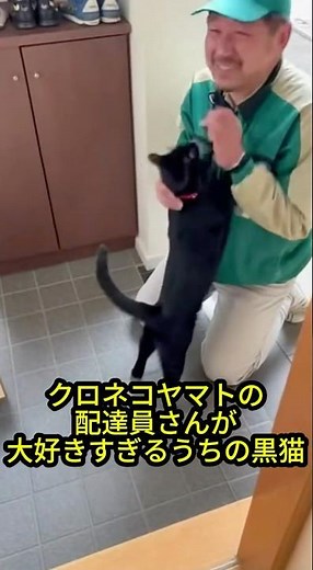 “My Favorite Delivery Guy Is Here!” Black Cat Waits Every Day
