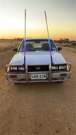 Did a little walk around dim sim with the new addition #tuffbrumby #subarubrumby #brumby