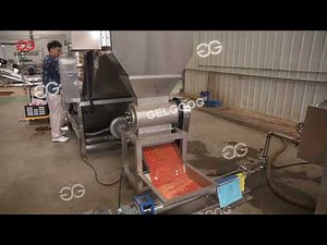 High Efficiency Industrial Tomato Processing Equipment