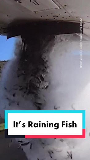 How Aerial Restocking Introduces Fish to New Waters