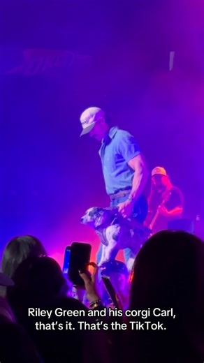 all things riley green on Instagram: "He’s so cute - Video by: lizzcastellano (TT) #rileygreen"