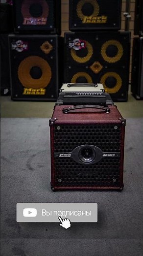 Братья Mark комбики Markbass Micro Mark 801, DV Mark Little Jazz и DV Mark AC 801