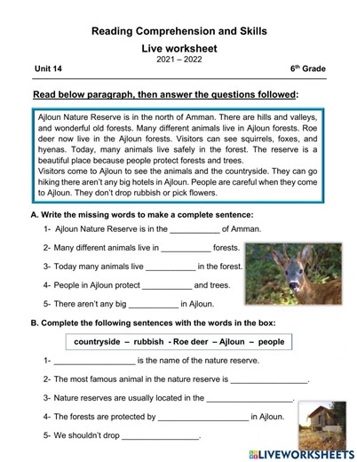 Reading Comprehension and Skills worksheet worksheet
