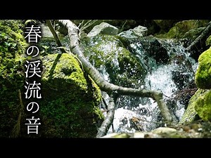 Sounds of spring streams 7 hr