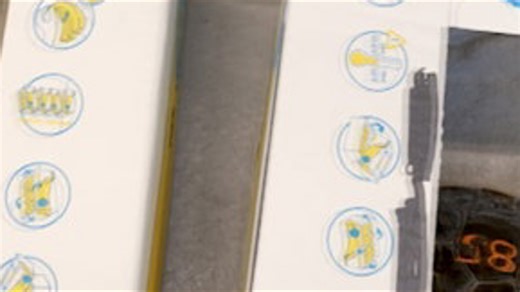 Mystic Aquarium cold stunned turtles