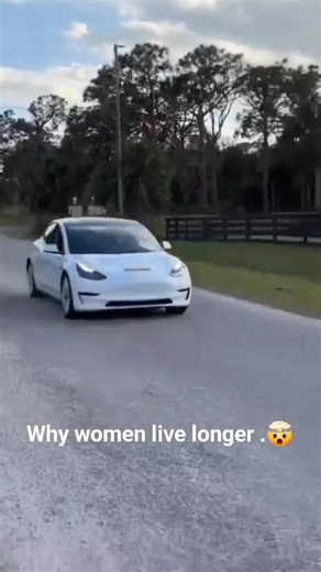 TikTok: Sean Robert | theCHIVE