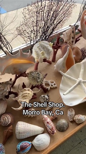 mr.rick.johnson on TikTok