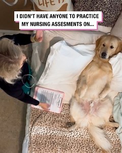 I didn't have anyone to practice my nursing assessments on... 🐶🩺 | Betches