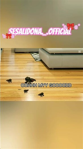 🌸💗 i am scared of Spyder #roblox #scaredofspyder 💗🌸