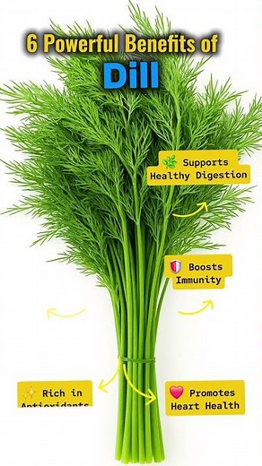 6 Powerful Benefits of Dill